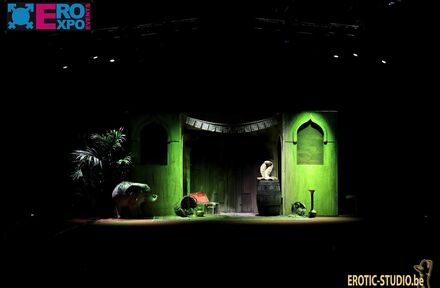 1001-nacht op de Eroticabeurs te Hasselt - Foto 1